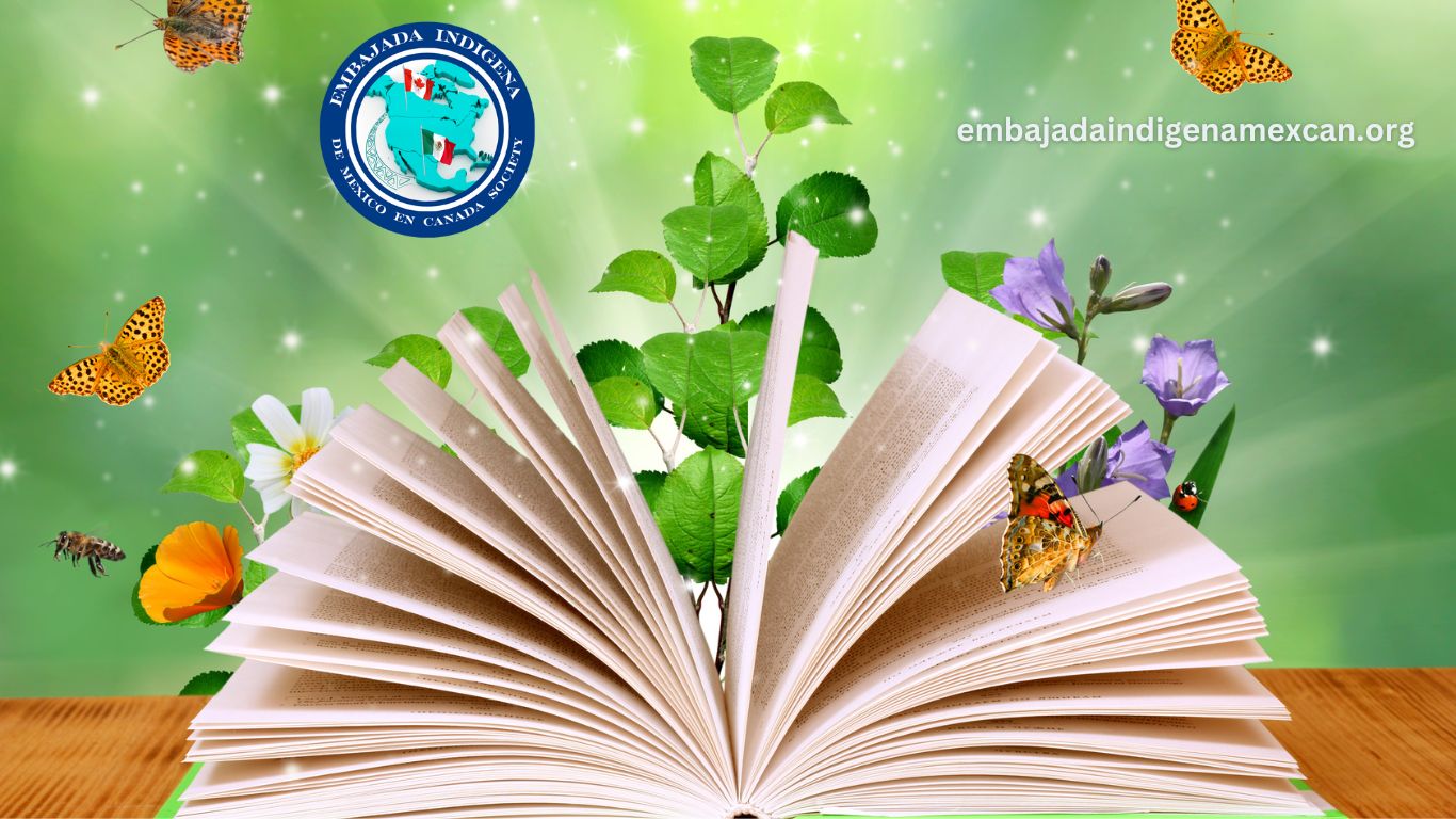 embajadaindigenamexcan.org (1)